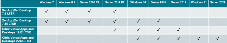 Tabel cu marcaje pentru Citrix Infrastructure Services.