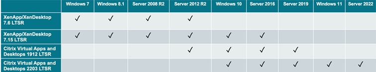 Tabel cu marcaje pentru Citrix Infrastructure Services.