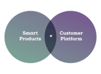 Diagrama unei platforme de produse și clienți care prezintă integrarea în rețea și digitală.